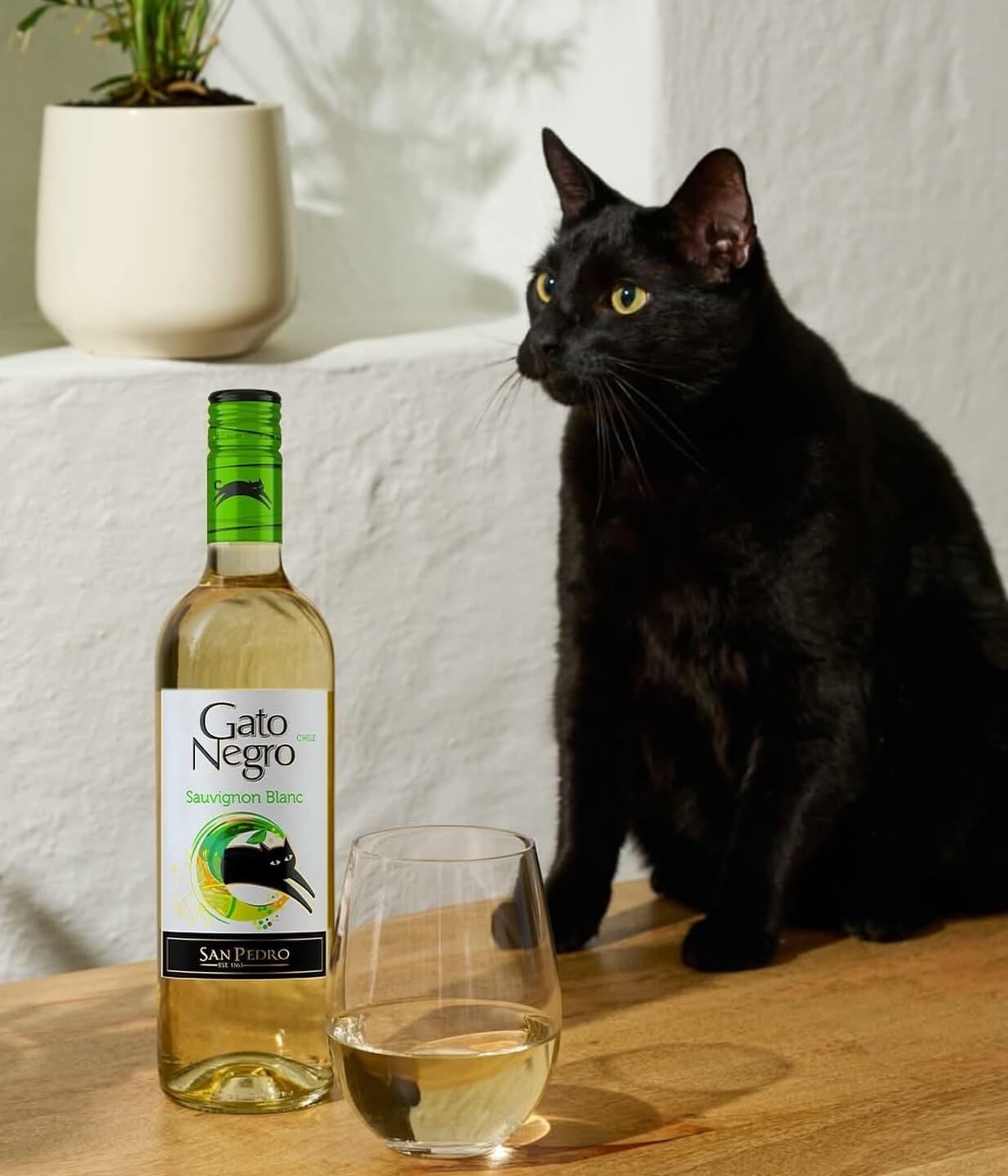 Licor